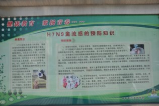 H7N9禽流感的预防知识展板